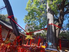 -少华山国家森林公园