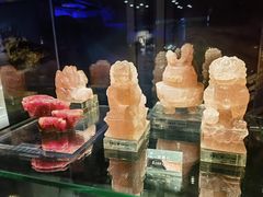 -中国地质博物馆