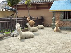 -中国汉城景区
