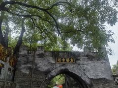 -大槐树寻根祭祖园