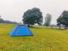 -汉长安城未央宫国家考古遗址公园