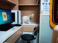 -谐和益家动物医院·免疫绝育·血液透析·宠保定点医院(高新伊藤分院)