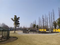 -前小桔亲子创意农场·草莓采摘·露营烧烤