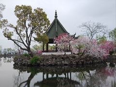 -无锡蠡湖国家湿地公园-蠡园