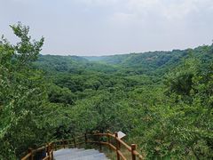 -大青沟风景区