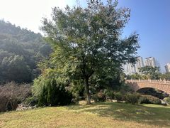 -桃花岭景区