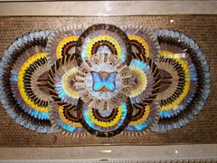 -上海昆虫博物馆