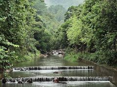 -广州白江湖森林公园