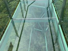 -陶祖圣境风景区