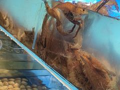-尚宴牛特鲜自助(太原街万达店)
