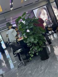 -藤野造型烫染·漂发