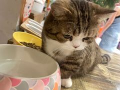 -小时光咖啡馆(北锣鼓巷店)