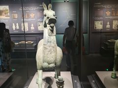 -广西壮族自治区博物馆