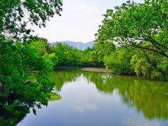 -西溪国家湿地公园