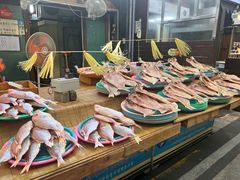 -西归浦每天偶来市场