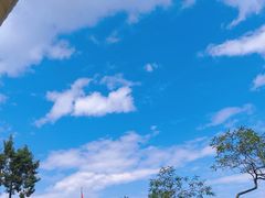 -云禾壹海景庄园餐厅