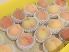 -老袁家蜜桃农场·阳山水蜜桃