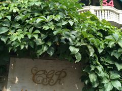 门面-成桂西餐厅·42年的味道(五大道疙瘩楼店)