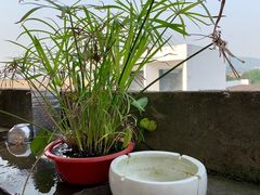-广州市紫泥堂文化创意园景区