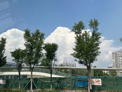 -北京胡同传统炙子烤肉(文兴路店)