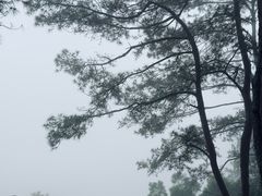 -白云山风景名胜区