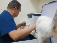 -全心全意连锁动物医院·微创中心·内科急重症·心脏专科(丰管路店)