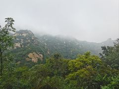-大岭沟猕猴桃谷风景区