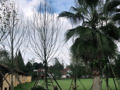 -夏河溪乡野公园
