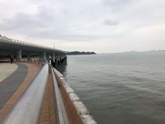 -演武大桥观景平台