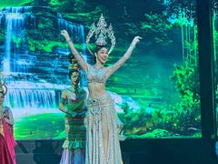 -金东尼人妖秀