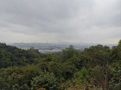 -火炉山森林公园