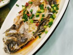 -金海湾海鲜排档(朱家尖店)