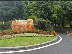 -东莞植物园
