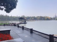 -圩墩遗址公园