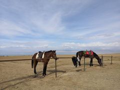 -青海湖国家重点风景名胜区