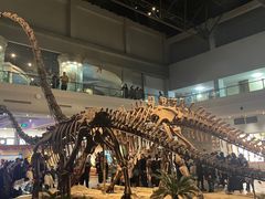 -自贡恐龙博物馆