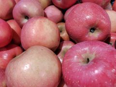 -物美(北沙滩店)