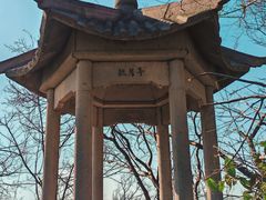 -紫金山山顶公园