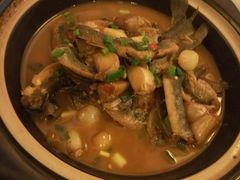-天地生态农庄