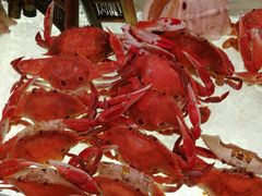 -好日子皇冠假日酒店·君怡咖啡厅(特美思大厦店)