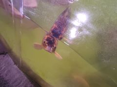 -正佳雨林生态植物园