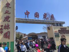 -横道河子东北虎林园