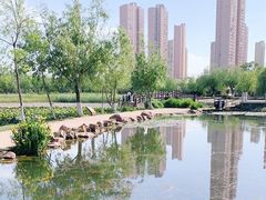 -前关湿地公园