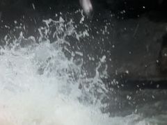 -雅鲁激流探险漂流