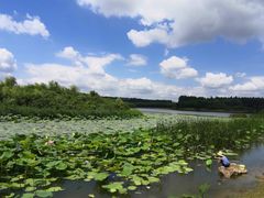 -丁香湖公园