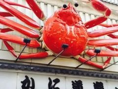 -蟹道乐(道顿堀本店)