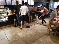 -星巴克(广州动漫星城东区店)
