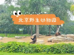 -北京野生动物园