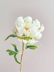 -Oasis Beauty水磨坊科技美肤中心
