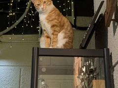 -逃脱反斗城沉浸剧情密室(北京路店)